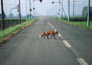 車検代を怖がる必要の無い業者を探す