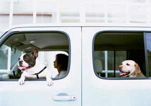 車検を激安で済ますことができる所とは