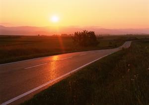 【徹底解説】トラック査定で高額査定を引き出すための効果的な対策とコツ