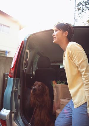 コスパ最強！安心・信頼の格安車検を選ぶための完全ガイド